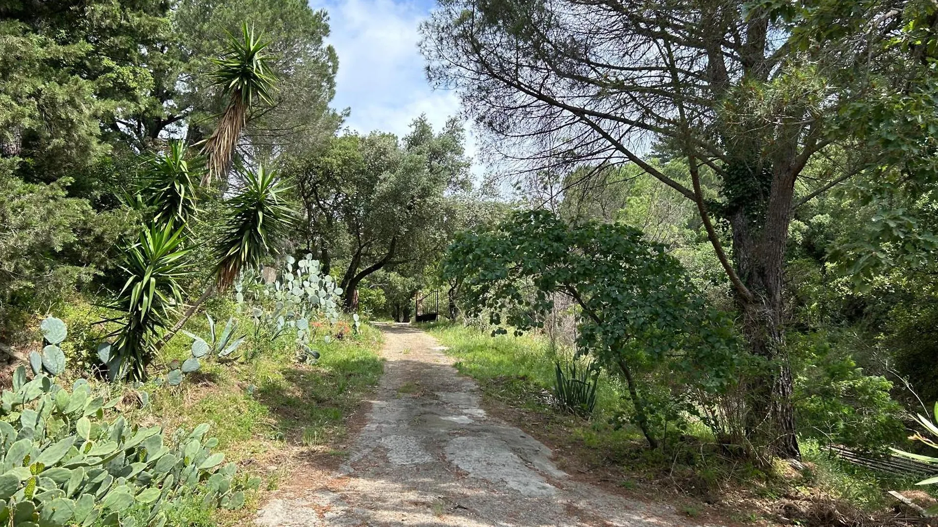 Maison Beatrice, Mignonne, Renove Avec Terrasse Et Jardin, Pres De Village La Garde-Freinet